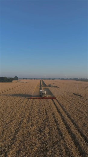 59K views · 1K reactions | 朗 Loving these Harvest 2024 videos! | Farmers Weekly | Facebook