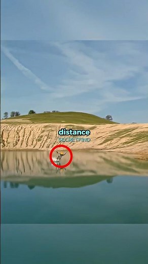 Jumping From A GIANT Waterslide 😳🌊 | MythBusters