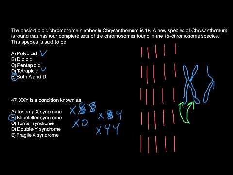 Trisomy X, Klinefelter syndrome, Turner syndrome, Double Y and Fragile X syndrome explained