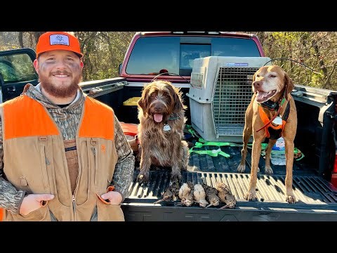 North Alabama Woodcock Hunting (Additional Duck and Deer Hunt)