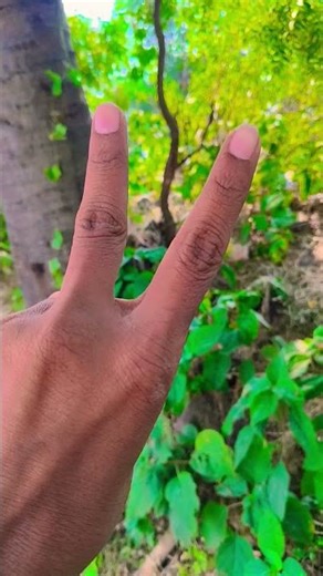 #funny #comedy #viral #harshit #viral short