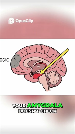 Eye Contact: Why Your Brain Reacts INSTANTLY #shorts