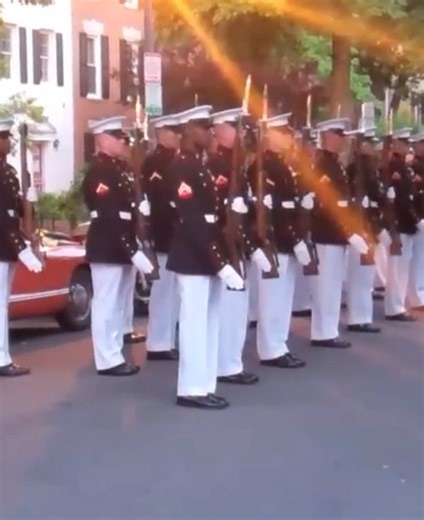 Honor Guard Marines: Mastering Precision Skills