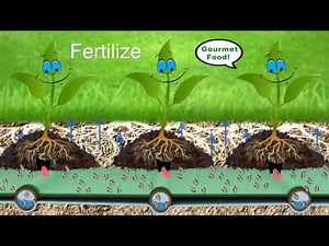 Subsurface Irrigation System which saves 70% Water