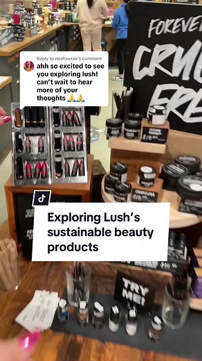 Exploring Lush’s Sustainable Beauty Products