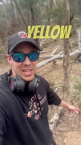 Finding a ⭐️ GOLD NUGGET ⭐️ along the main highway! | GOLD-COIN & RELICS AUSTRALIA