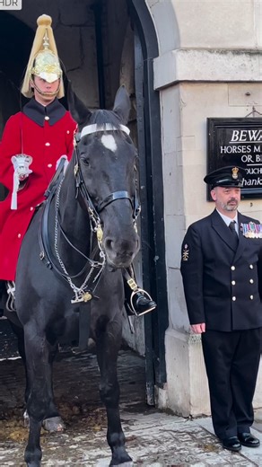 3.9M views · 10K reactions | Hilarious Day at Royal Horse Guard!  Join us for a sensational day at the Royal Horse Guard in London as Royal Navy soldiers share unforgettable moments with the King's Guard horse. Witness excellent behavior by tourists and experience the funny and heartwarming moments with the royal horse. It's a superb day filled with laughter and joy!  #RoyalNavy #HorseFun #LondonGuard #TouristMoments #SensationalDay | UK GOOD For You | Facebook