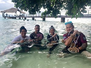 Coral reef restoration as a Nature-based solution to climate change