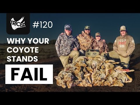 Why Most Coyote Stands Fail, Calls, Systems and Speed with Geoff Nemnich