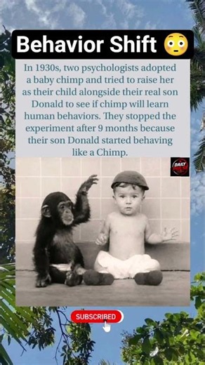 The chimp wasn't the one who changed the most 🐵🤯#viral #short #facts