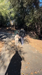 37 reactions | A beautiful day for a walk at Bass Lake #basslakecalifornia #weekendgetaway #walktime | Marichu De Leon Sibayan | Facebook