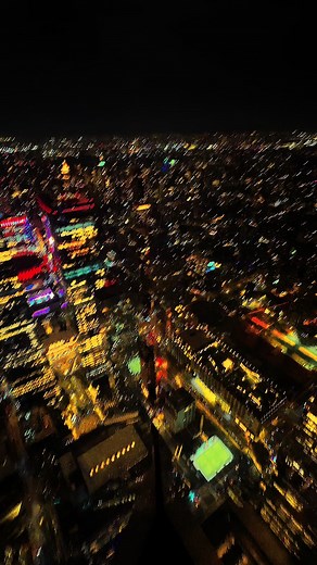 Exploring New York City with Viator