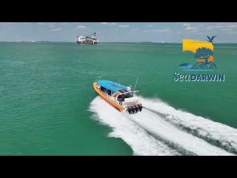 Sea Darwin - Mercury