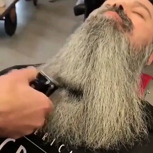 66K views · 161 reactions | HUSKYBEARD on Reels | Facebook