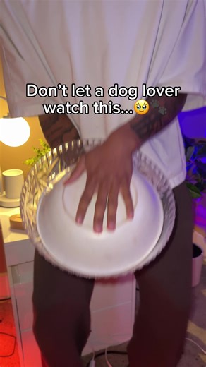 Something a dog lover would love 🥺 #gifts #pet #lamp #memories #petgifts