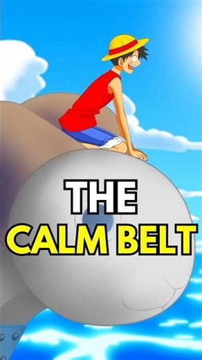 Why the Calm Belt is FEARED in One Piece
