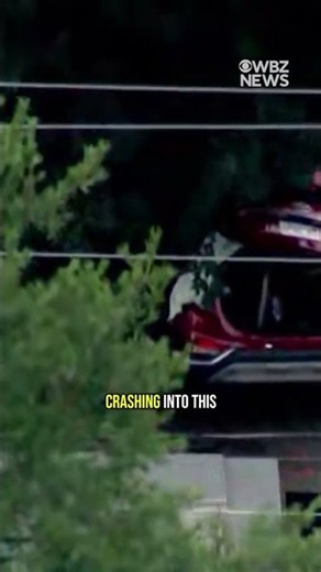 Five seriously hurt after stolen car crashes into tree during police pursuit in Massachusetts