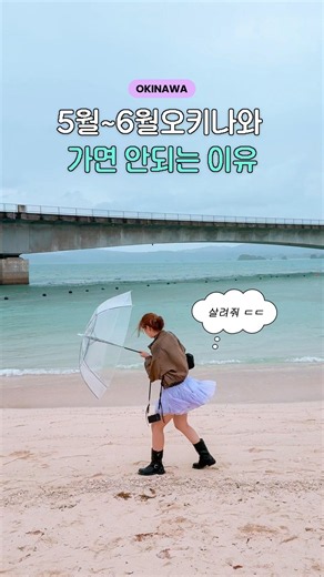 오키나와 5~6월엔 가지마십쇼...