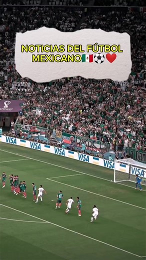 NOTICIAS DEL FUTBOL MEXICANO ⚽🇲🇽❤️ #ligamx #futbolmexicano #chivas #cruzazul #tiktokdeportes