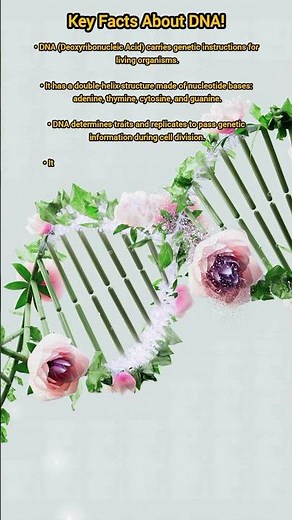 Key Facts About DNA!