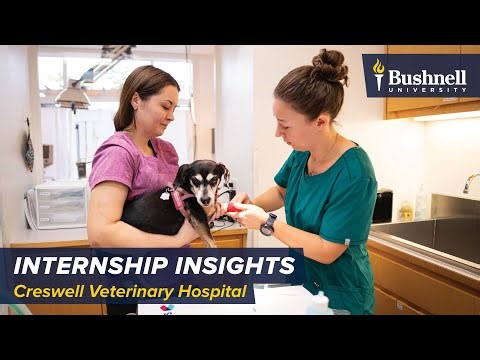 Internship Insights: Creswell Veterinary Hospital
