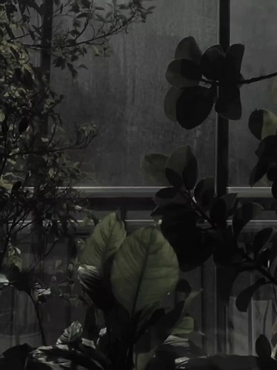 ☆ #TUTORIAL - tut on presplits!! - song name: Yes To Heaven - Lana Del Rey (sped up) - #lanadelrey #tut #presplit #fallenaudioz #audio #presplitaudiosforedits #presplitaudios #presplitaudio #audios #yestoheaven #fyp ☆