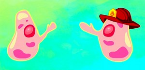 USC Science Film Competition