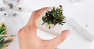 Video by Deeana Arts 🇵🇷  on Pexels