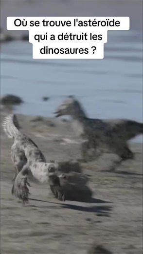 #asteroide #education#espace #dinosaure