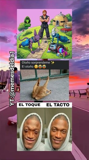 esa hoja sabe cosas 😭