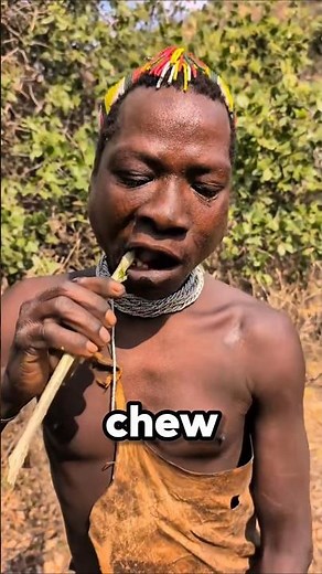 They Brush Their Teeth With Chew Sticks 😳