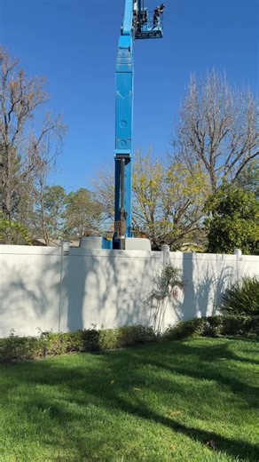 #TreeService #MasterTree #SafetyFirst