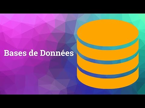 Introduction aux bases de données | (Système d’information)
