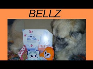 BELLZ BARK BOX UNBOXING #3 February Edition 🐶