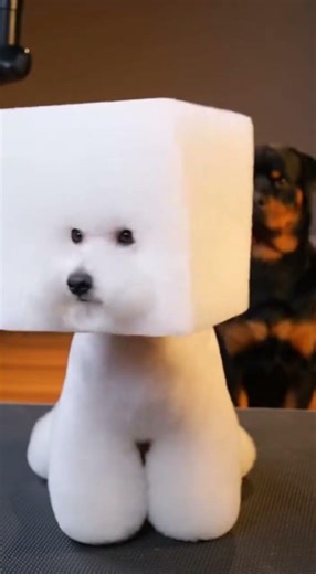 Minecraft Dog IRL 🤖 Square Head Bichon Grooming #MinecraftDog #DogShorts #ViralShorts