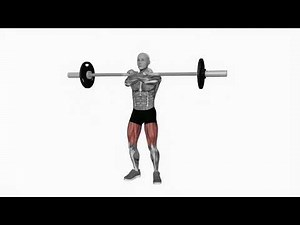 Barbell Front Squats - Proper Form & Technique [4K]