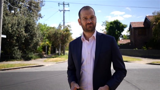 VIC government and experts at odds with how to prune tree limbs around powerlines