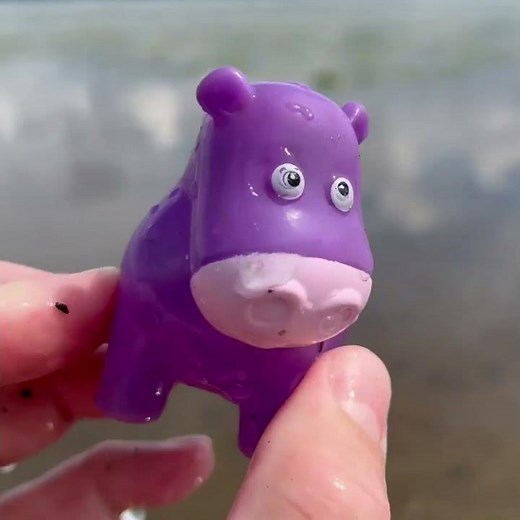 Hippo Fact 💧 | They Are Water Loving Giants! Animal Facts for Kids
