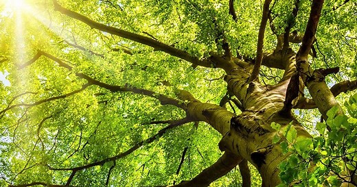 Meet Don Smith | Owner of Smith's Funeral Homes