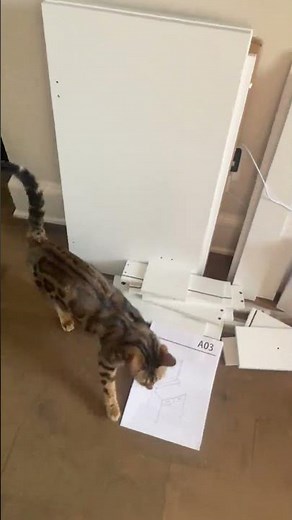 This vanity desk with mirror is a game changer—LED lights, storage space, and a glam setup that