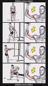 ✅ Biceps Workout Using Band ① Standing Curl ② 45 Degree Curl ③ Horizontal Curl ④ Concentration Curl 3 sets 12-15 reps #fitness #gym #exercise #workout #workoutroutine #exercisetips #fitnesstips #bodybuilding #armday #bicepsworkout #biceps | Fitnesslabo