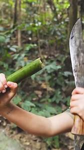 Solo camp - while distracted, my pet was attacked by a python #bushcraft #relax #camping #intherain #solocamp-001 | Thomas Samantha