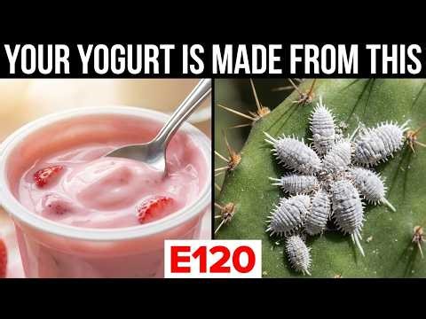 Behind the Scenes of Food Coloring Production