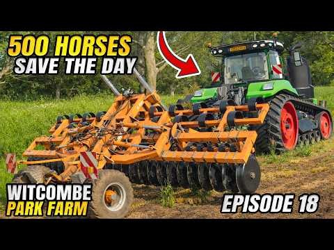 CAN THIS DO WHAT THE XERION COULDN'T? | Witcombe Park Farm Farming Simulator 25 - Episode 18