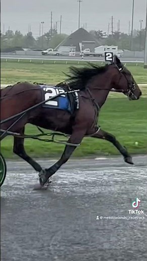 Harness racing action in the rain. #playbigm #harnessracing #meadowlandsracetrack