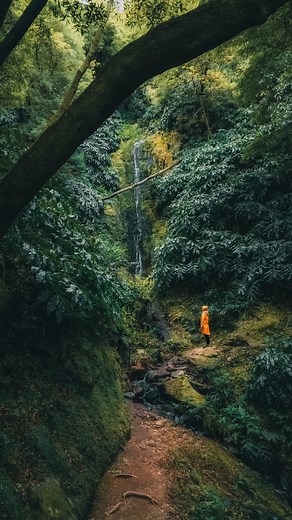 1.8K reactions · 17 shares | Anzeige • strolling through the forest...