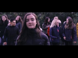 VDSIS - Genau wie wir (official Musikvideo) // VDSIS