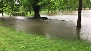 31K views · 272 reactions | GET A LOAD OF THIS! This video, taken...