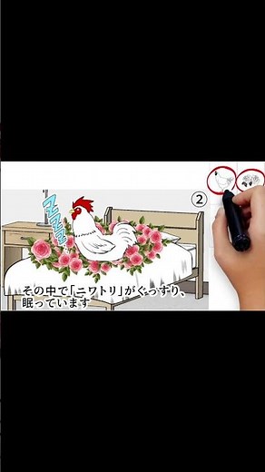 How to remember the illustrations used in cognitive function tests for elderly people A4 #elderly...