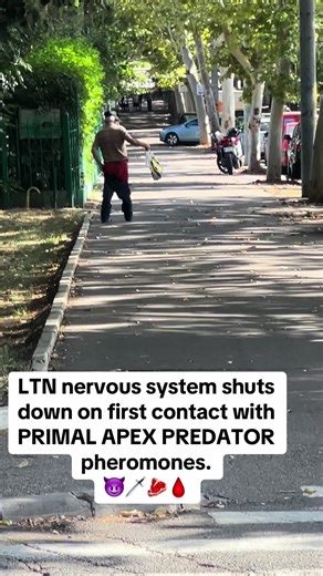 Built-in jean paul gaultier PRIMAL SCENT BROOOTAL 😈😈🩸 #primal #goatis #apexpredator #targetaudience